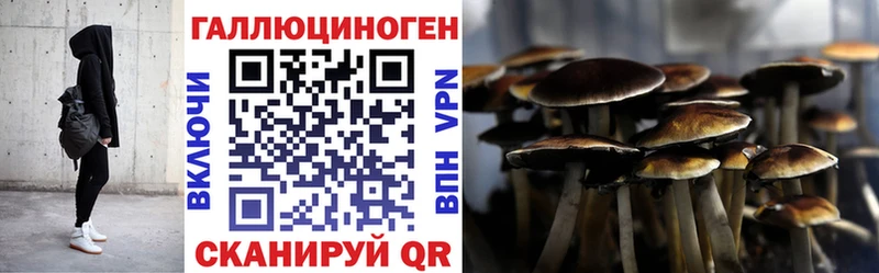 Псилоцибиновые грибы Cubensis  Киреевск 