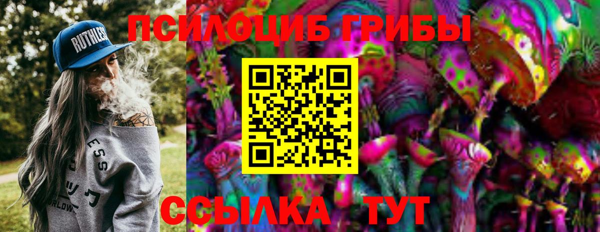 Киреевск  Галлюциногенные грибы Psilocybe  Вход с VPN 