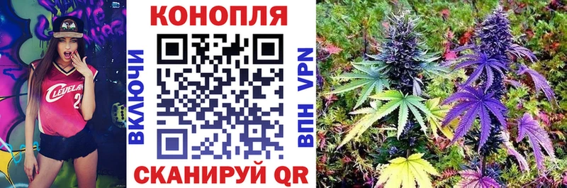 Бошки марихуана индика Киреевск